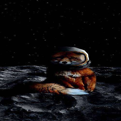 آیدا شاه قاسمی لا لایی